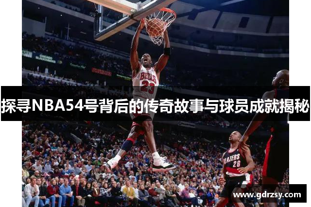 探寻NBA54号背后的传奇故事与球员成就揭秘